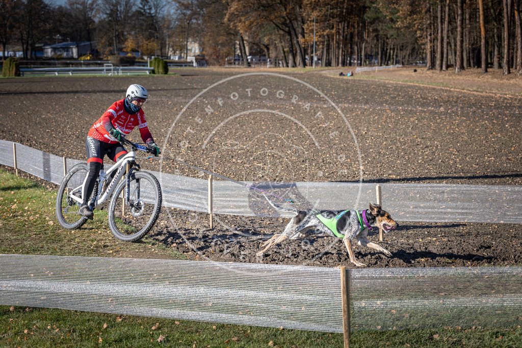 CaniXpix_DV3A6825 | Hundefotografie, Tierfotograf, Pfotenfotografie, Fotoshooting Hund, Hunde Portrait, Hundesport, Hundeportraits, Heideshooting, Hunde, Sportfotograf, Hundefotograf, Turnierhundsport, THS,  - Realisiert mit Pictrs.com