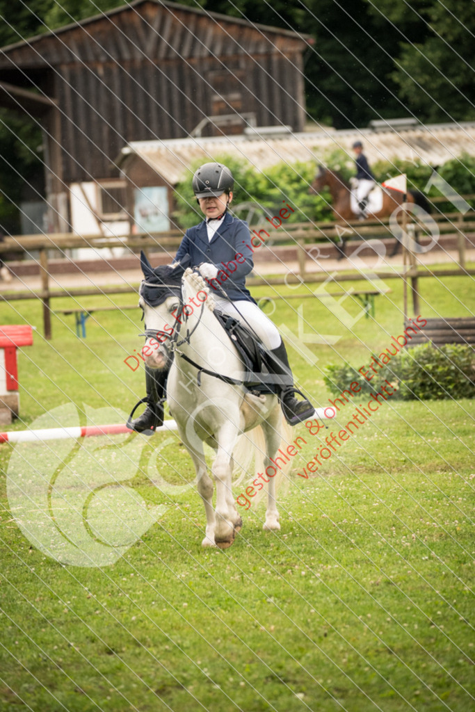 DSC_4816 | Sport-, Event- und Tierfotos in Profiqualität. Einfach auswählen, bestellen und herunterladen. Dein Moment – perfekt festgehalten.
