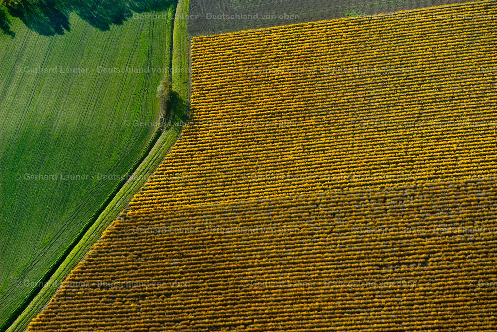 3503593 | Fischteiche bei Auleben