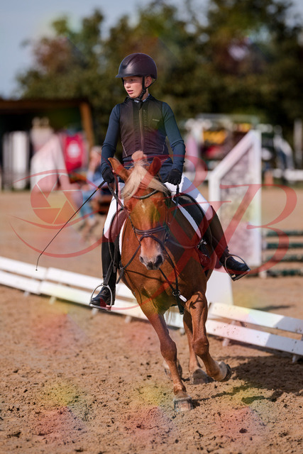 2026_10_03_Siefer-Hof_120032_Z81_02532394 | Professionelle Reitsport-, Turnier- und Eventfotografie von Robert Broda. Galerien mit ausgewählten und bearbeiteten Bildern direkt online ansehen und bestellen.