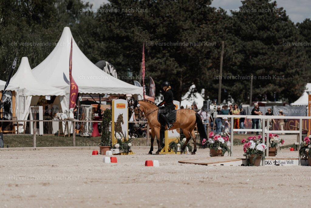 WE_ST_Stoib_319_PI2025_1283 | Pferd International München 2025