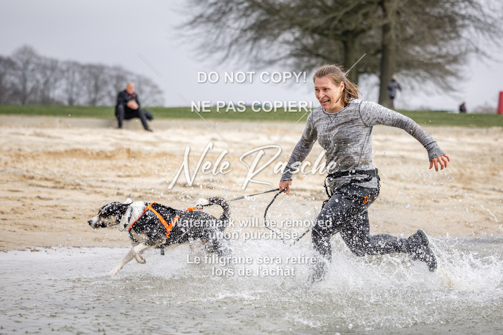 nelerasche_Hulsbeek_Sa1230-1330_98 | nelerasche