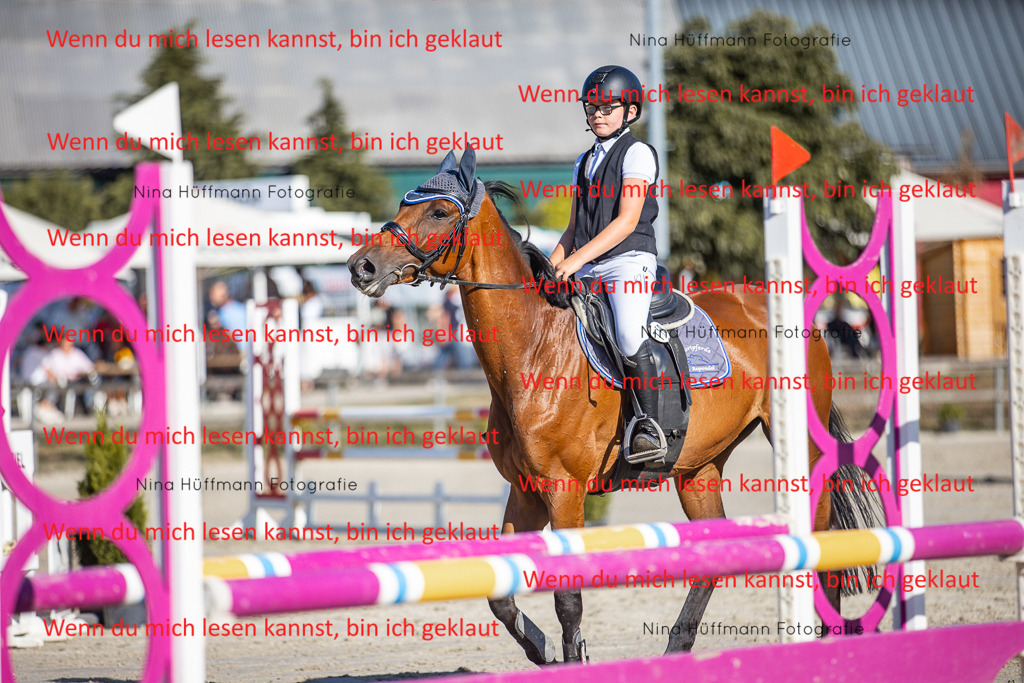 BK1A7401 | Turnierbilder Turnierfotos Nina Hüffmann Turnierfotografie Pferdefotografie Tierzeichnung Haustierzeichnung Pferdezeichnung Hundezeichnung Videograf  - Realisiert mit Pictrs.com