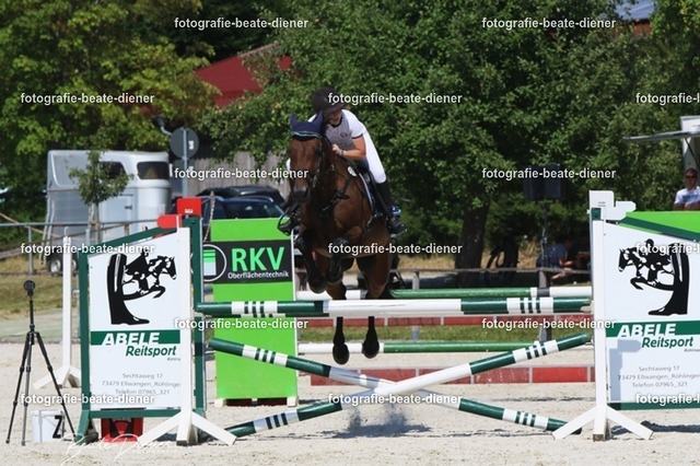 Zeit L (16) | Fotografie, Tiere, Hunde, Katzen, Pferde, Sportfotografie, Fotosession, Tierfotografie, Turnierfotografie, Fotografin, Fotograf - Realisiert mit Pictrs.com