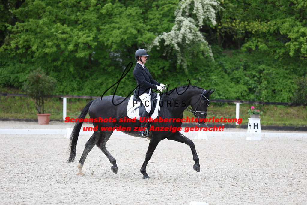 A40A9023 | lmwpictures - Realisiert mit Pictrs.com