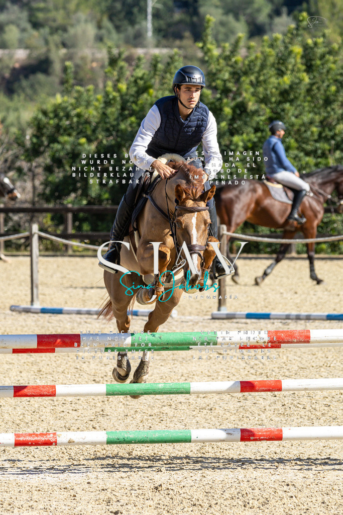 IMG_4197 | s-jay-photography - Realisiert mit Pictrs.com