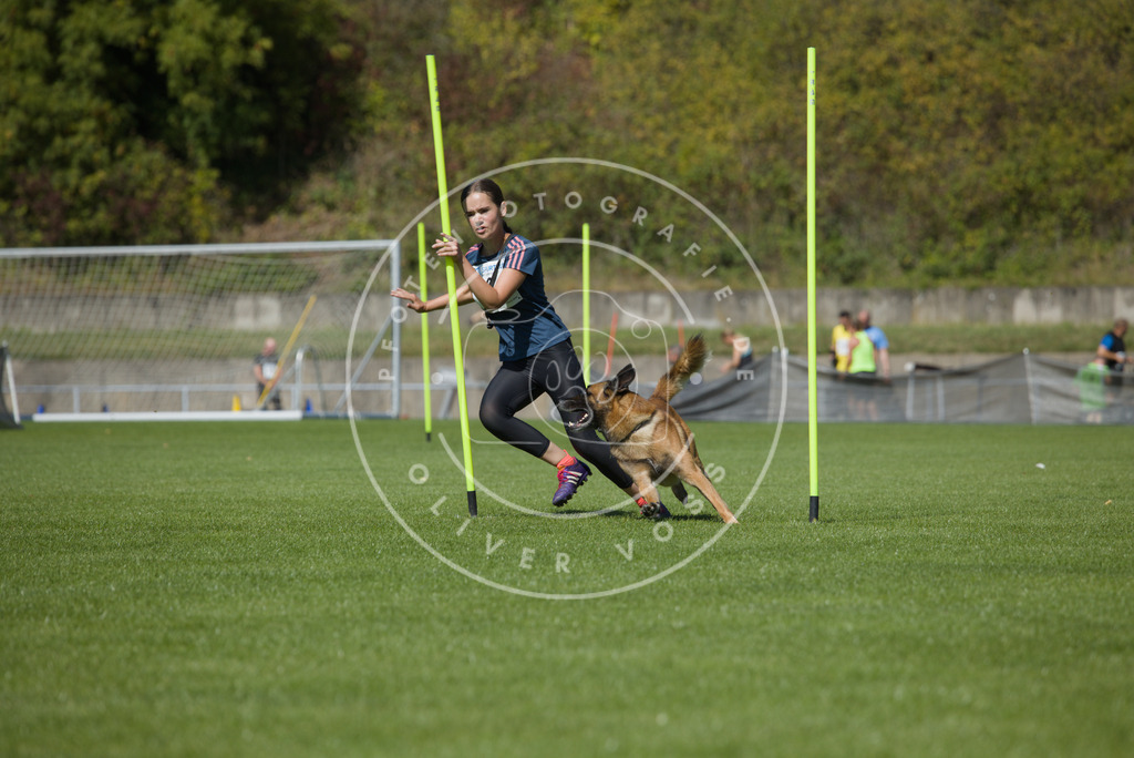 0L8A6093 | Hundefotografie, Tierfotograf, Pfotenfotografie, Fotoshooting Hund, Hunde Portrait, Hundesport, Hundeportraits, Heideshooting, Hunde, Sportfotograf, Hundefotograf, Turnierhundsport, THS,  - Realisiert mit Pictrs.com