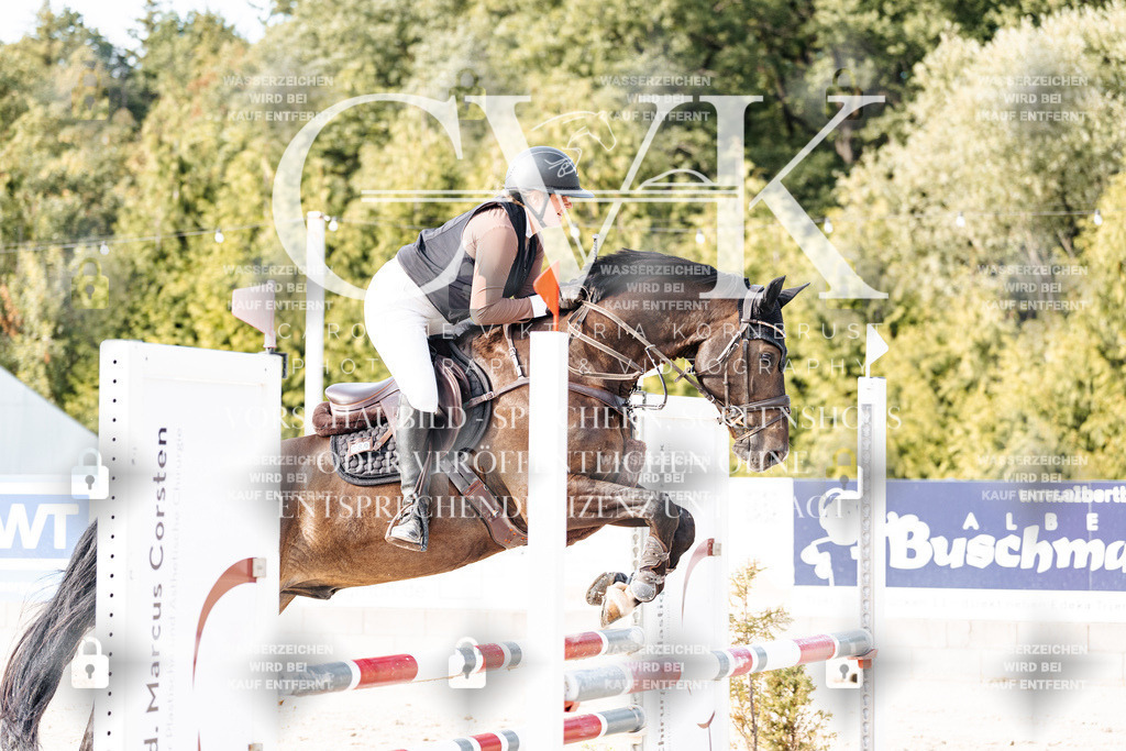 CK906583 | Turnierfotografie Pferdefotografie Trier Rheinland-Pfalz Pferdesport Reitsport Tierfotografie Sportfotografie Pferdevideo Pferdevideografie Equestrianvideography equestrianphotography  - Realisiert mit Pictrs.com