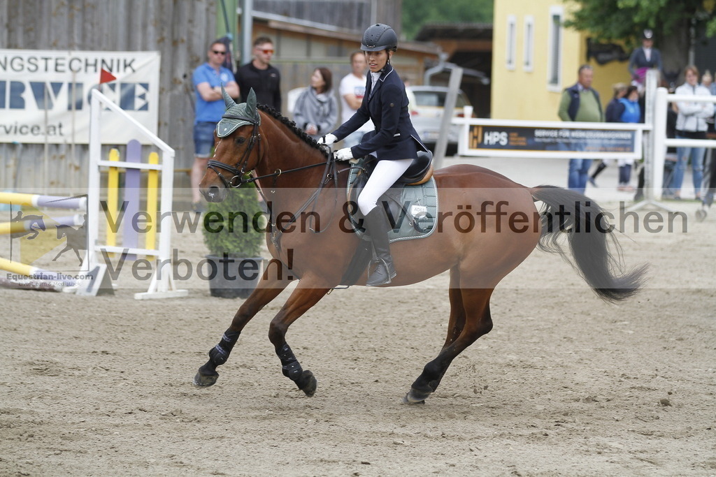 _MG_1002 | equestrian-live-com