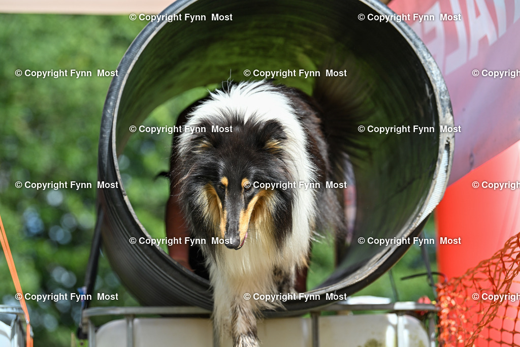 DSC_3353 | Hallo und herzlich Willkommen auf meiner Shop-Seite Fynn Most.

Ich wünsche Dir viel Spaß beim stöbern durch die Bilder, wenn Du Fragen hast oder Bilder vermisst, kannst du mir gerne eine Nachricht schreiben. - Realisiert mit Pictrs.com