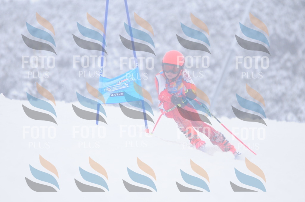 C4381 | holidayphoto