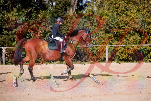 2026_10_03_Siefer-Hof_143734_Z81_06422719 | Professionelle Reitsport-, Turnier- und Eventfotografie von Robert Broda. Galerien mit ausgewählten und bearbeiteten Bildern direkt online ansehen und bestellen.