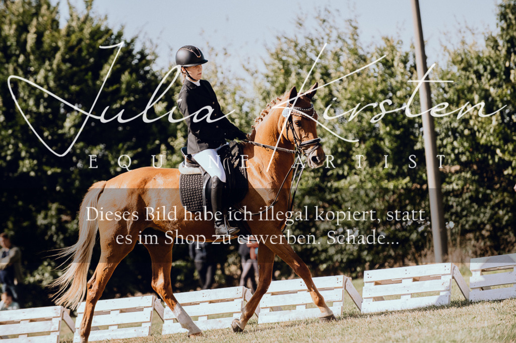 DSC_7210 | Pferde- und Turnierfotografie in Westsachsen. Pferdeportraits, Auftragszeichnungen und intuitive Kunst.