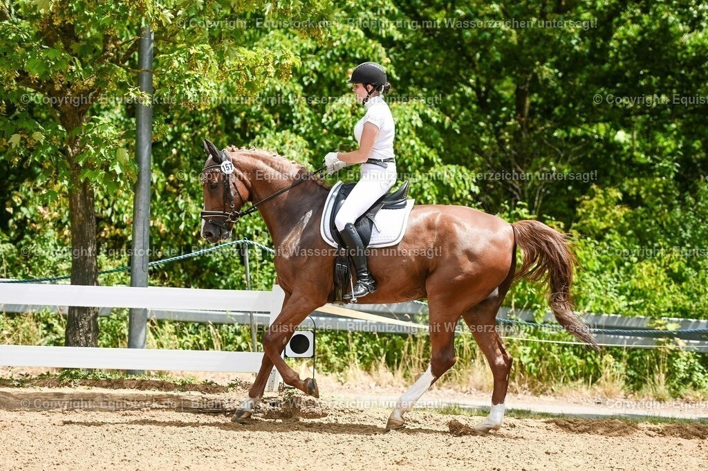 20230715_05_Dressurprüfung Kl.A++_0033 | equistock