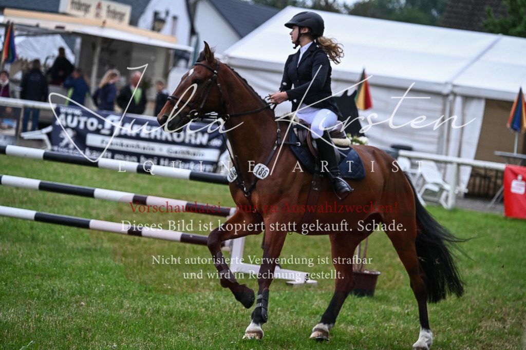 DSC_8488 | Pferde- und Turnierfotografie in Westsachsen. Pferdeportraits, Auftragszeichnungen und intuitive Kunst.