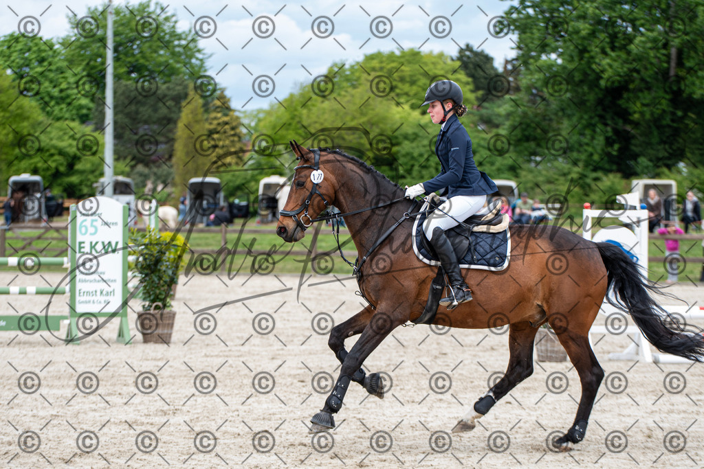 KPT_5873 | andre_photographic