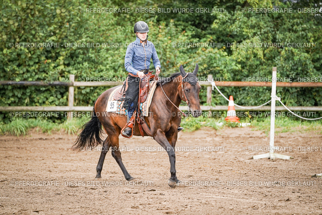 DSC05952 | Pferdegrafie