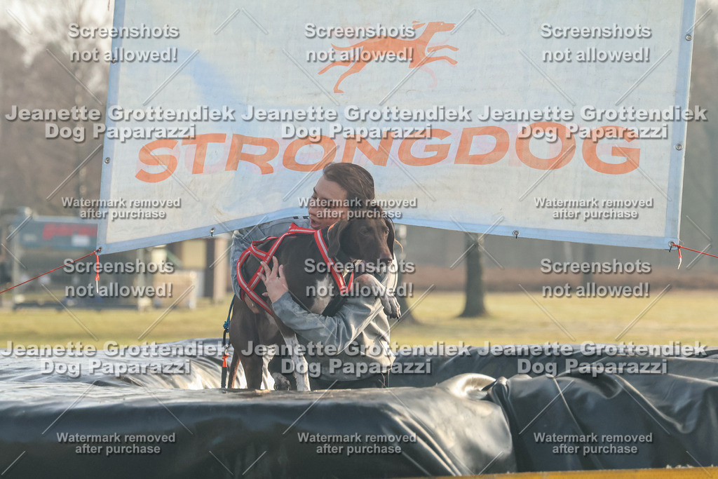 Dog Paparazzi - SD North Sa 830-900-78 | Dog Paparazzi Jeanette Grottendiek Fotografie & Videografie - Realisiert mit Pictrs.com