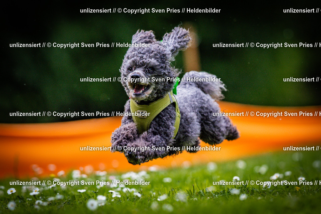 Sven Pries | 2025-05-29 - Pudelrennen KA-Durlach - Realisiert mit Pictrs.com