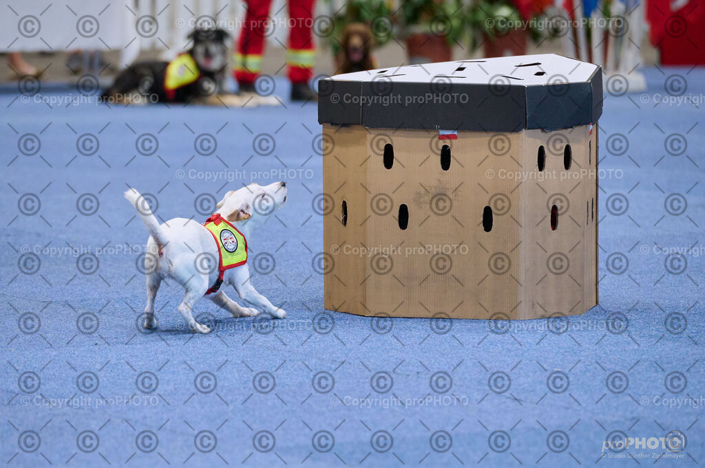 202406_ÖKV-IHA-Tulln24_DSC_3488 | proPHOTO - Realisiert mit Pictrs.com