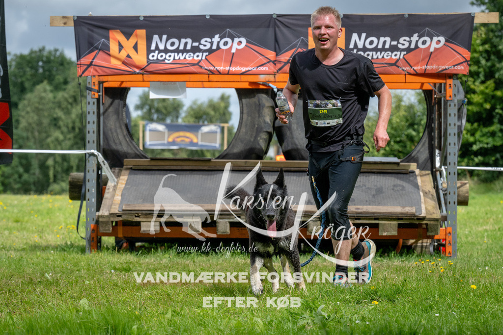 1146_ZZ92952 | kk-dogfotos