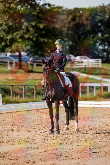 2026_10_03_Siefer-Hof_115809_Z63_31175373 | Professionelle Reitsport-, Turnier- und Eventfotografie von Robert Broda. Galerien mit ausgewählten und bearbeiteten Bildern direkt online ansehen und bestellen.