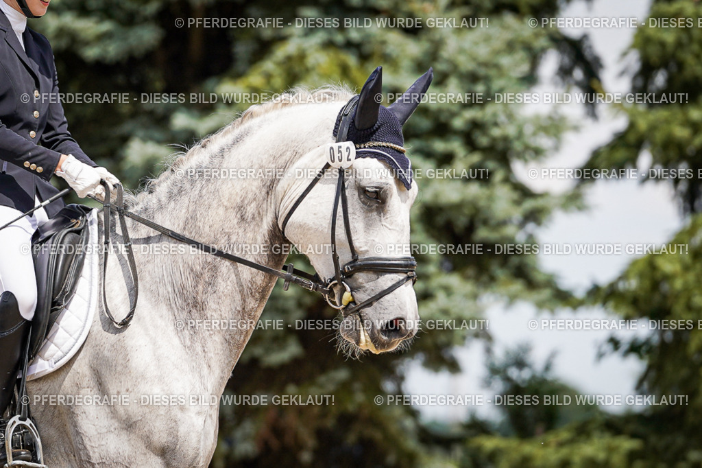 DSC02236 | Pferdegrafie