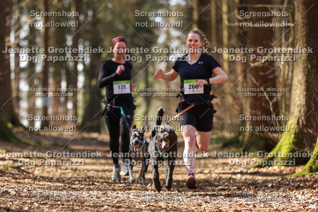 Dog Paparazzi - VCC26-1161 | Dog Paparazzi Jeanette Grottendiek Fotografie & Videografie - Realized with Pictrs.com