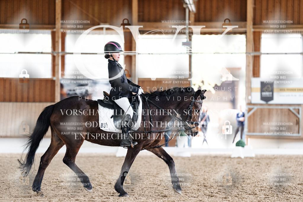 CK901282 | Turnierfotografie Pferdefotografie Trier Rheinland-Pfalz Pferdesport Reitsport Tierfotografie Sportfotografie Pferdevideo Pferdevideografie Equestrianvideography equestrianphotography  - Realisiert mit Pictrs.com