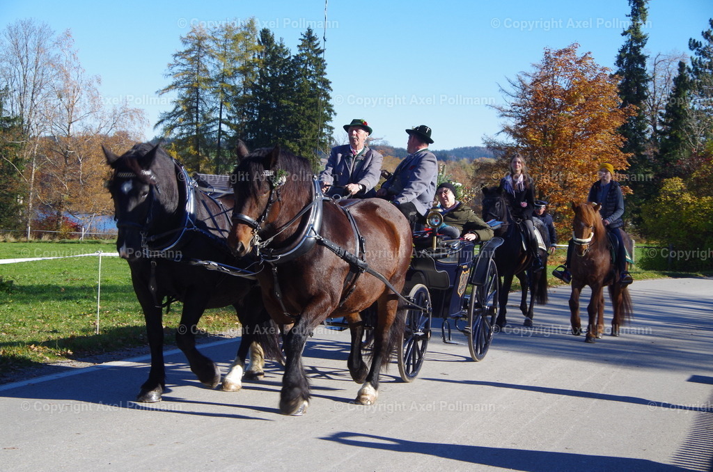 IMGP7815 | fotografiert von Axel PollmannLeonhardi Wallfahrt Benediktbeuern und Murnau, Fronleichnam, Fasching, Landschaft im Loisachtal und Benediktbeuern  - Realisiert mit Pictrs.com
