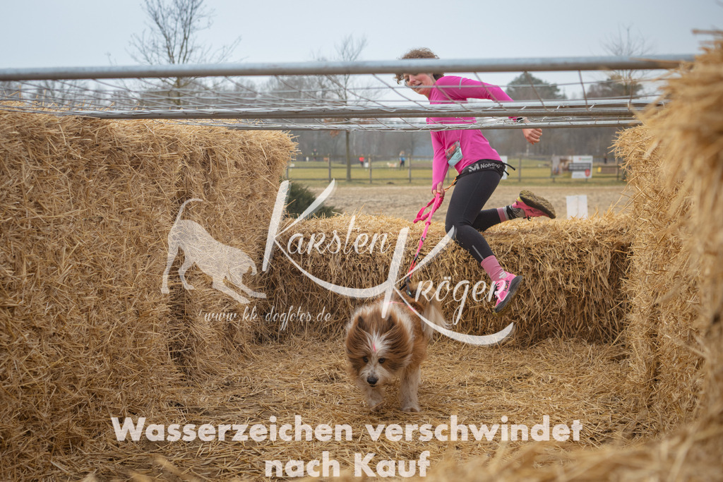 1000_ZZ91683 | kk-dogfotos