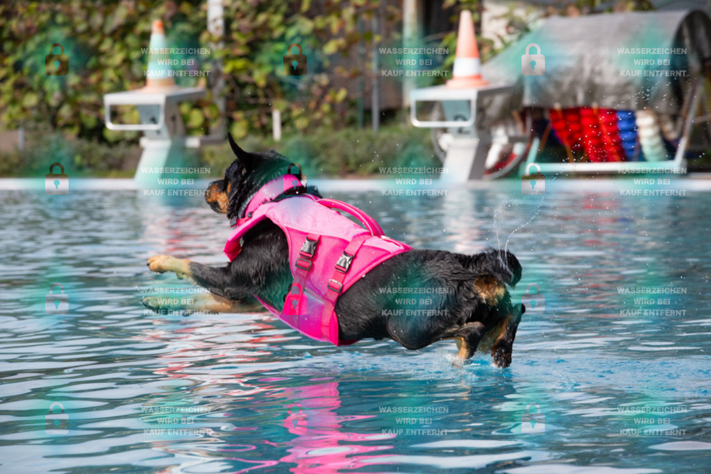 _HP_7607_1000o | HetPix, HetPix Fotodesign, Fotografie, Fotodesign, Webshop, Sportfotografie, Portraitfotografie, Onlineshop, Sportfotografie, Polch, Motorsportfotografie, Eventfotografie