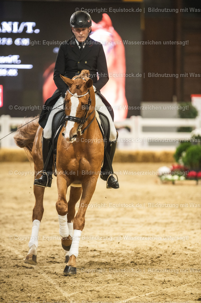 20240302_Hengstvorstellung_Marbach_TOMsPiC_0896 | equistock