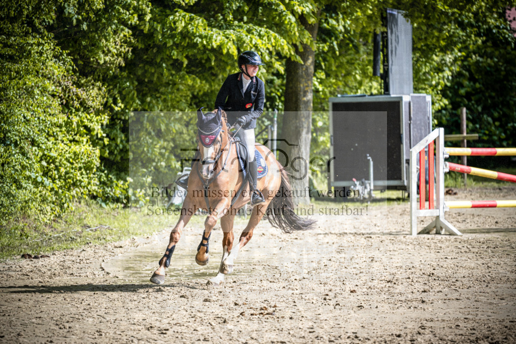 DOS_2788 | Reitturnier Lüdinghausen - Realisiert mit Pictrs.com