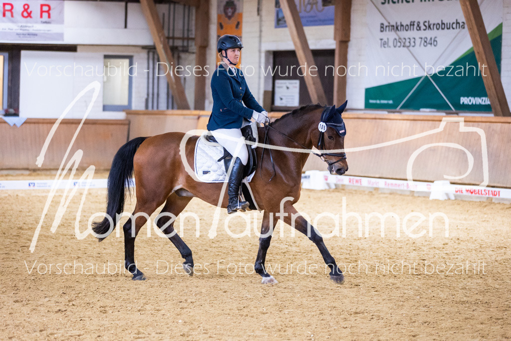 Sth-A-Dre-2St-091 | MomenTaufnahmen Pferdesportfotos