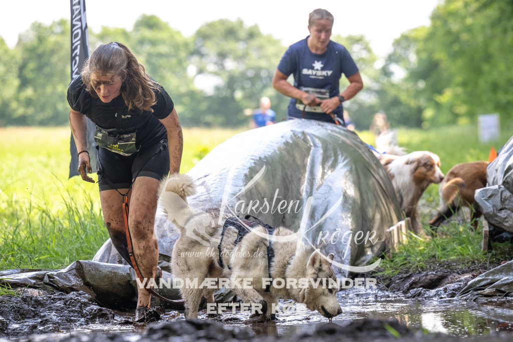 1157_ZZ90424 | kk-dogfotos