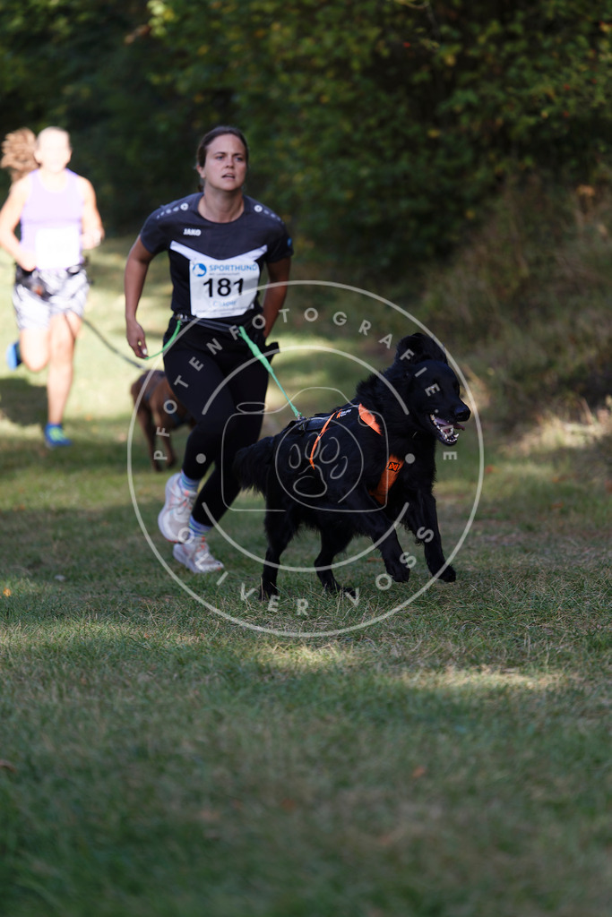 0L8A5604 | Hundefotografie, Tierfotograf, Pfotenfotografie, Fotoshooting Hund, Hunde Portrait, Hundesport, Hundeportraits, Heideshooting, Hunde, Sportfotograf, Hundefotograf, Turnierhundsport, THS,  - Realisiert mit Pictrs.com