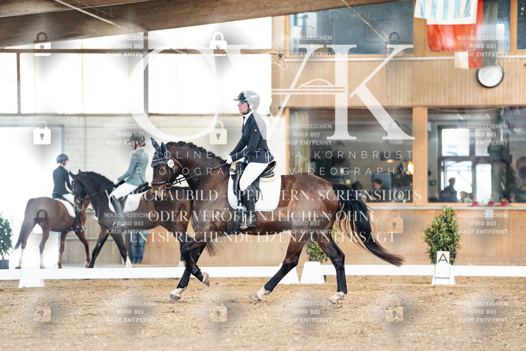 CK900871 | Turnierfotografie Pferdefotografie Trier Rheinland-Pfalz Pferdesport Reitsport Tierfotografie Sportfotografie Pferdevideo Pferdevideografie Equestrianvideography equestrianphotography  - Realized with Pictrs.com