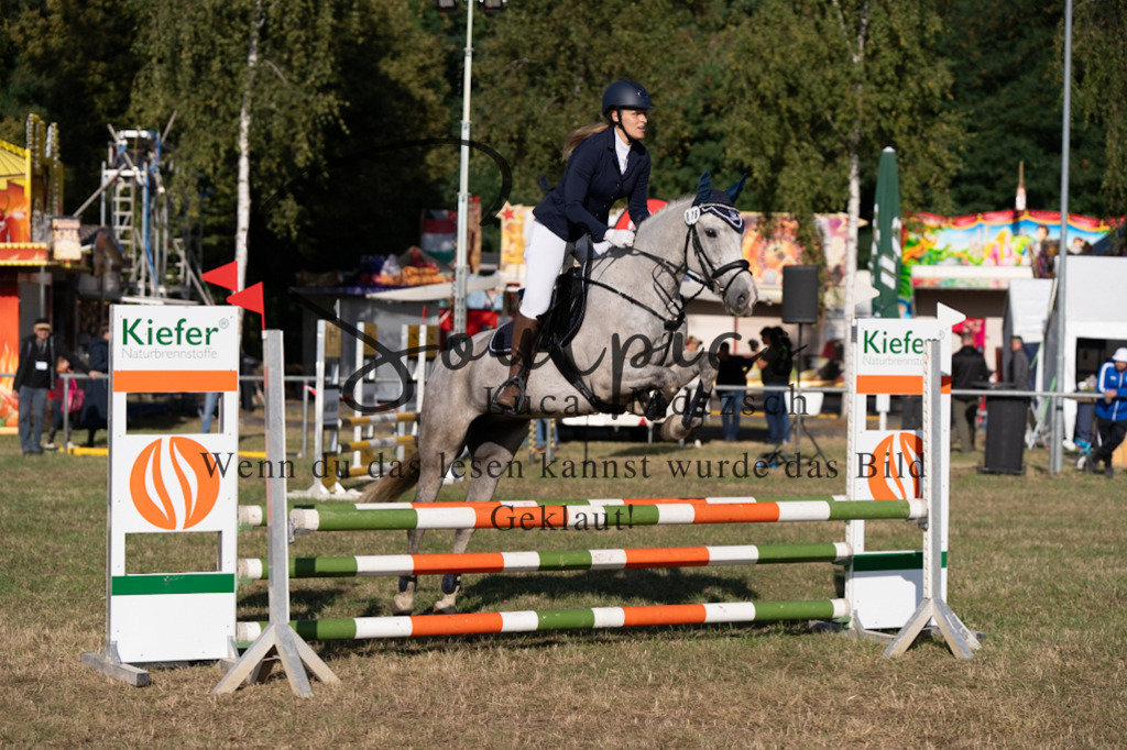 A7V08154 | Pferdefotograf