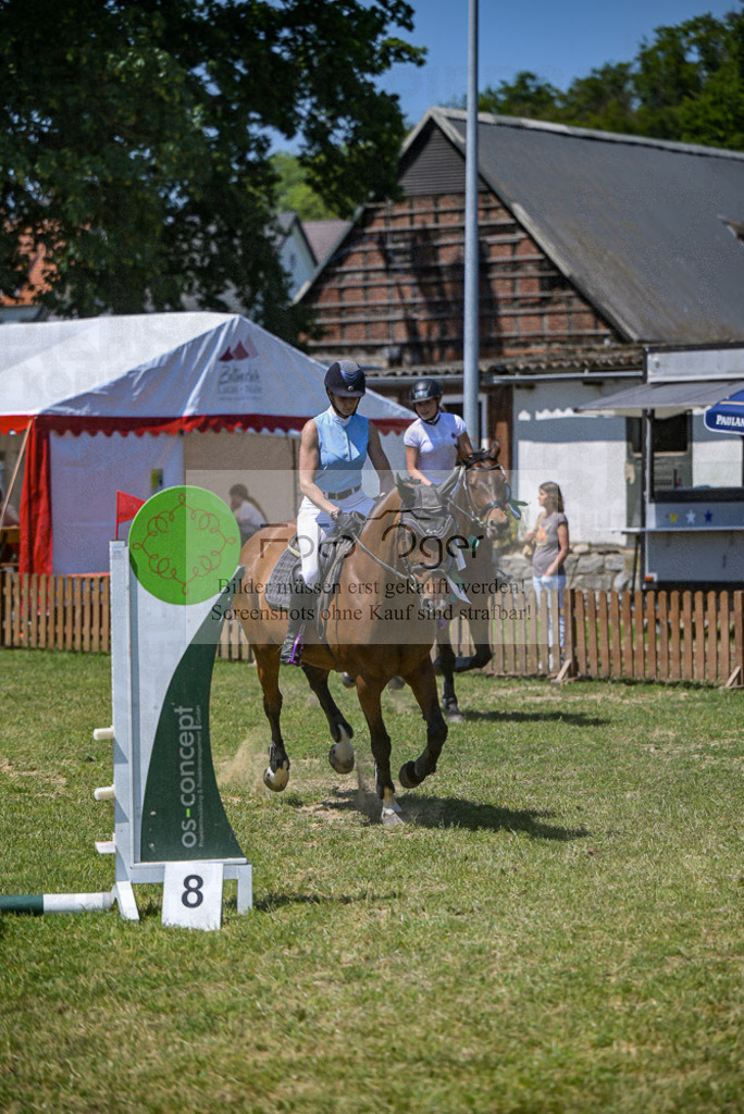 Reitturnier Voxtrup | Entdecke hochwertige Reitturnierfotos von Foto Oger. Professionell, emotional und authentisch – jetzt Lieblingsmomente im Shop bestellen.Deutschlandweite Turnierfotografie. - Realisiert mit Pictrs.com