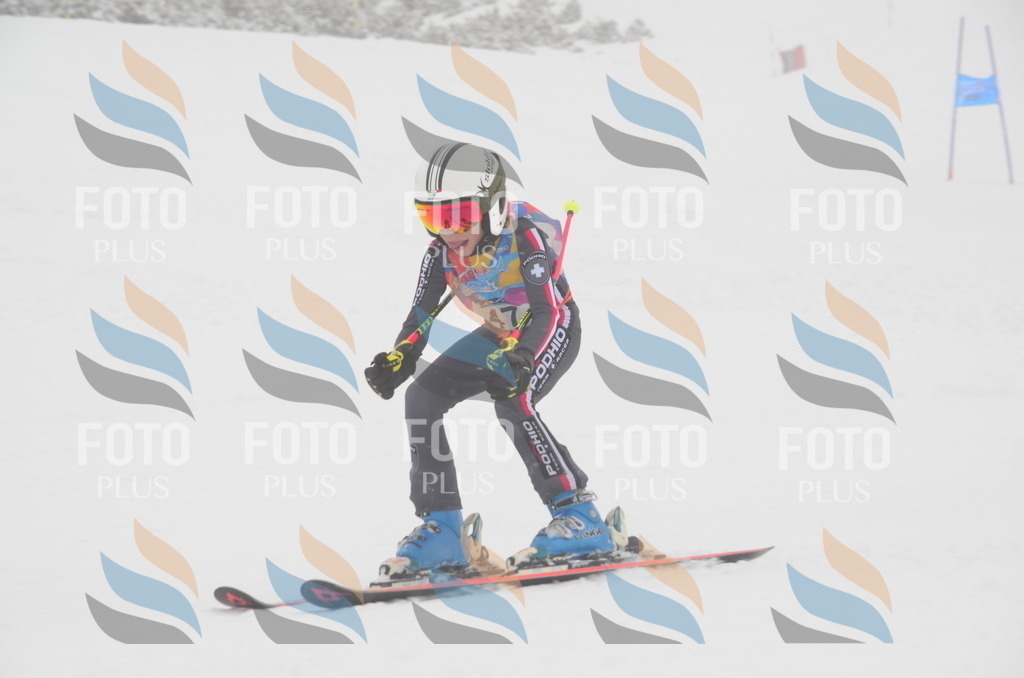 C0924 | holidayphoto