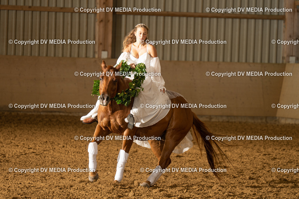 LAU01192 | dv-media-shop - Realisiert mit Pictrs.com