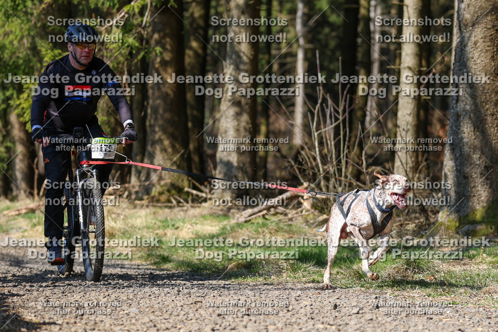 Dog Paparazzi - VCC26-163 | Dog Paparazzi Jeanette Grottendiek Fotografie & Videografie - Realisiert mit Pictrs.com