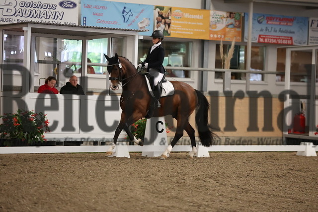 Waghäusel-Wiesental_2024_Prfg.Nr.08_1.WP_U25_Laura-Victoria Kraus_Fernando Piccolo (7) | Alle Fotos der Reiterjournal Fotografin Doris Matthaes im Reiterjournal Online-Fotoshop. - Realisiert mit Pictrs.com