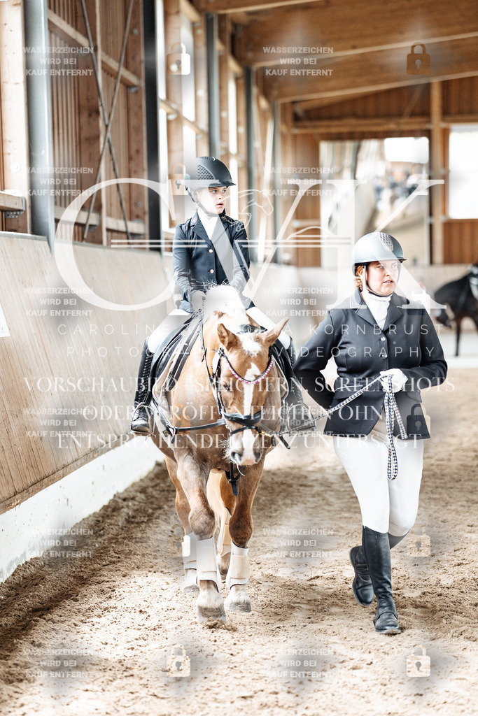 CK902041 | Turnierfotografie Pferdefotografie Trier Rheinland-Pfalz Pferdesport Reitsport Tierfotografie Sportfotografie Pferdevideo Pferdevideografie Equestrianvideography equestrianphotography  - Realized with Pictrs.com