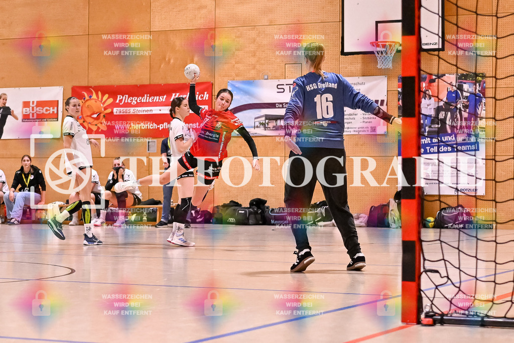 GER, SG Maulburg/Steinen - HSG Dreiland, Frauen-Handball, Oberliga Suedbaden, 3. Spieltag, Saison 2024/2025, 12.10.2024 | Davina Schmidt (SG Maulburg/Steinen, #17) springt und wirft den Ball Richtung Tor von Anke Baechtold (HSG Dreiland, #16)GER, SG Maulburg/Steinen - HSG Dreiland, Frauen-Handball, Oberliga Suedbaden, 3. Spieltag, Saison 2024/2025, 12.10.2024Foto: TH Fotografie/Thomas Hess