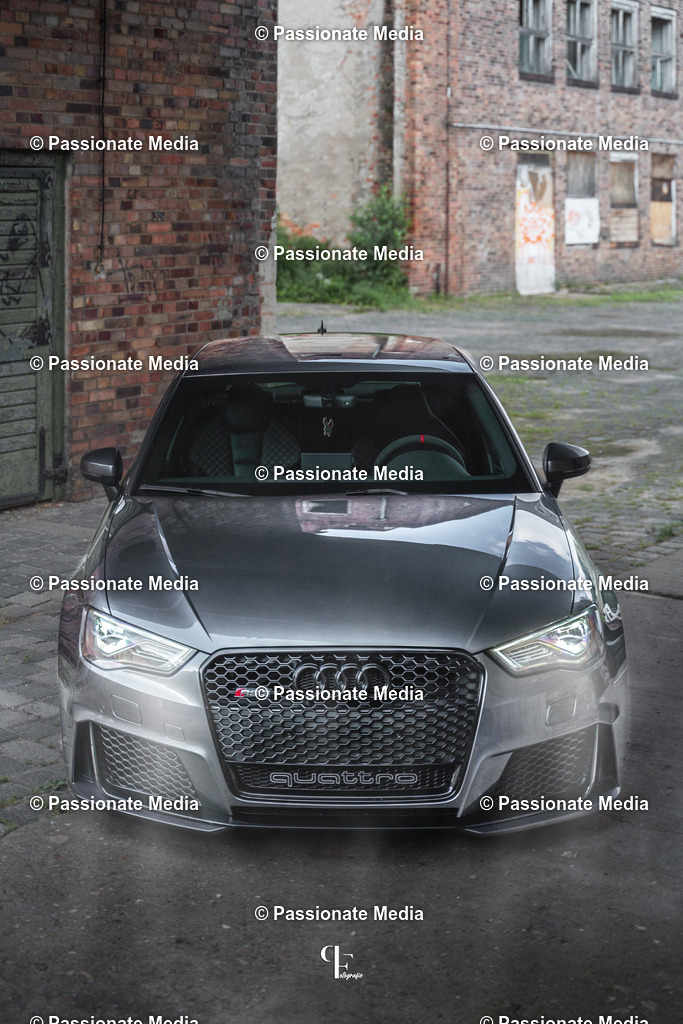 _DSC4220 | Passionate Media, dein Fotograf aus Brandenburg, Märkisch Oderland, im Bereich Motorsport, Autos und Motorräder sowie Events und auch Hunde. Shootings oder auch Eventbegleitungen können bei mir gebucht we