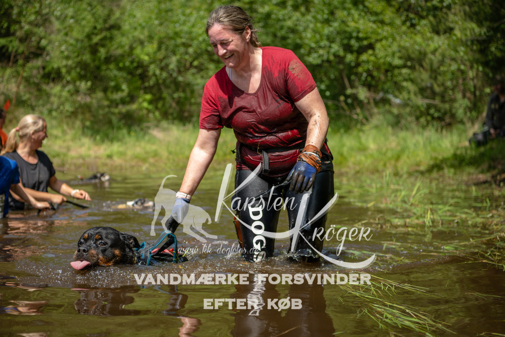 1255DKK993708 | kk-dogfotos