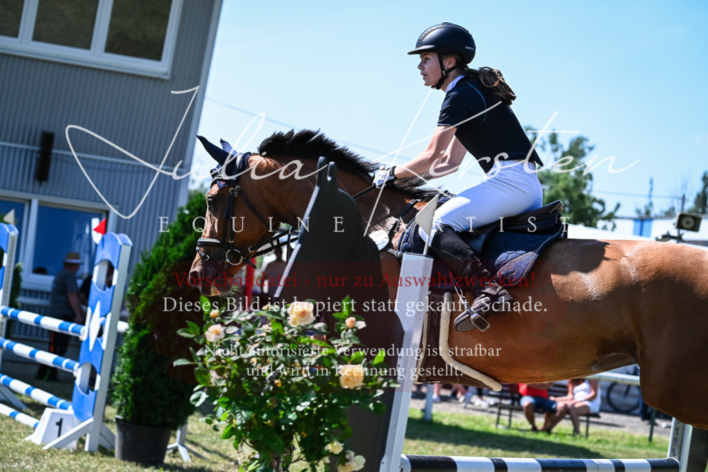 DSC_1471 | Pferde- und Turnierfotografie in Westsachsen. Pferdeportraits, Auftragszeichnungen und intuitive Kunst.