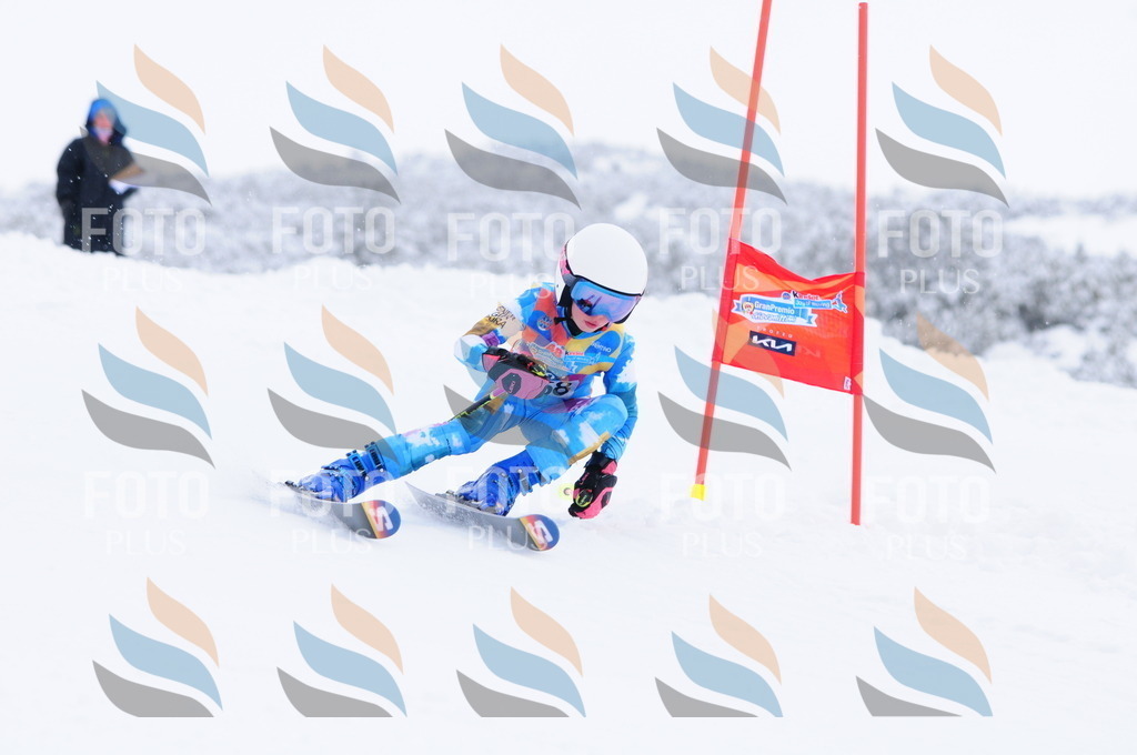 C2709 | holidayphoto